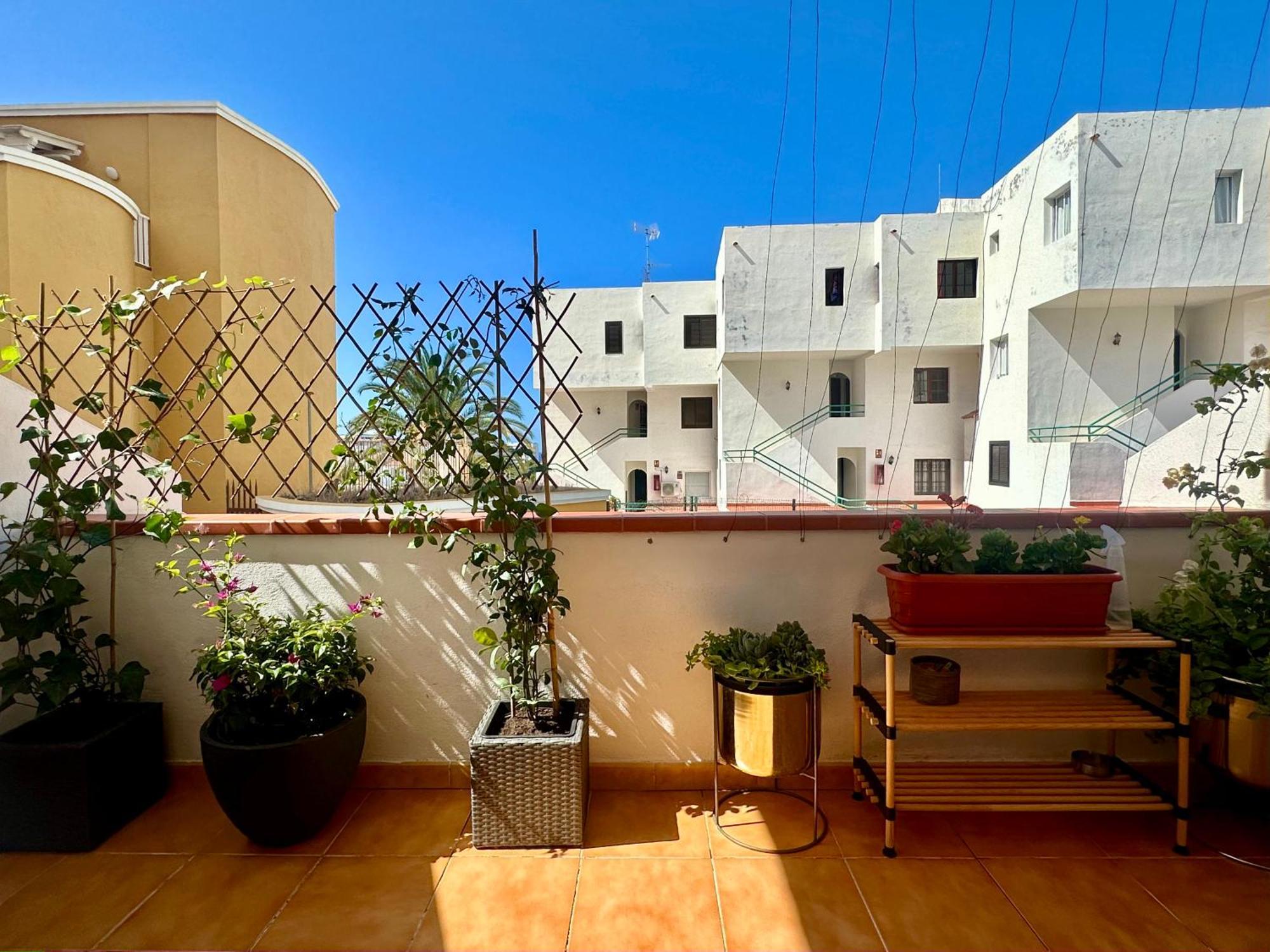 Apartment In Ocean Park Ii, Costa Adeje, Tenerife ภายนอก รูปภาพ
